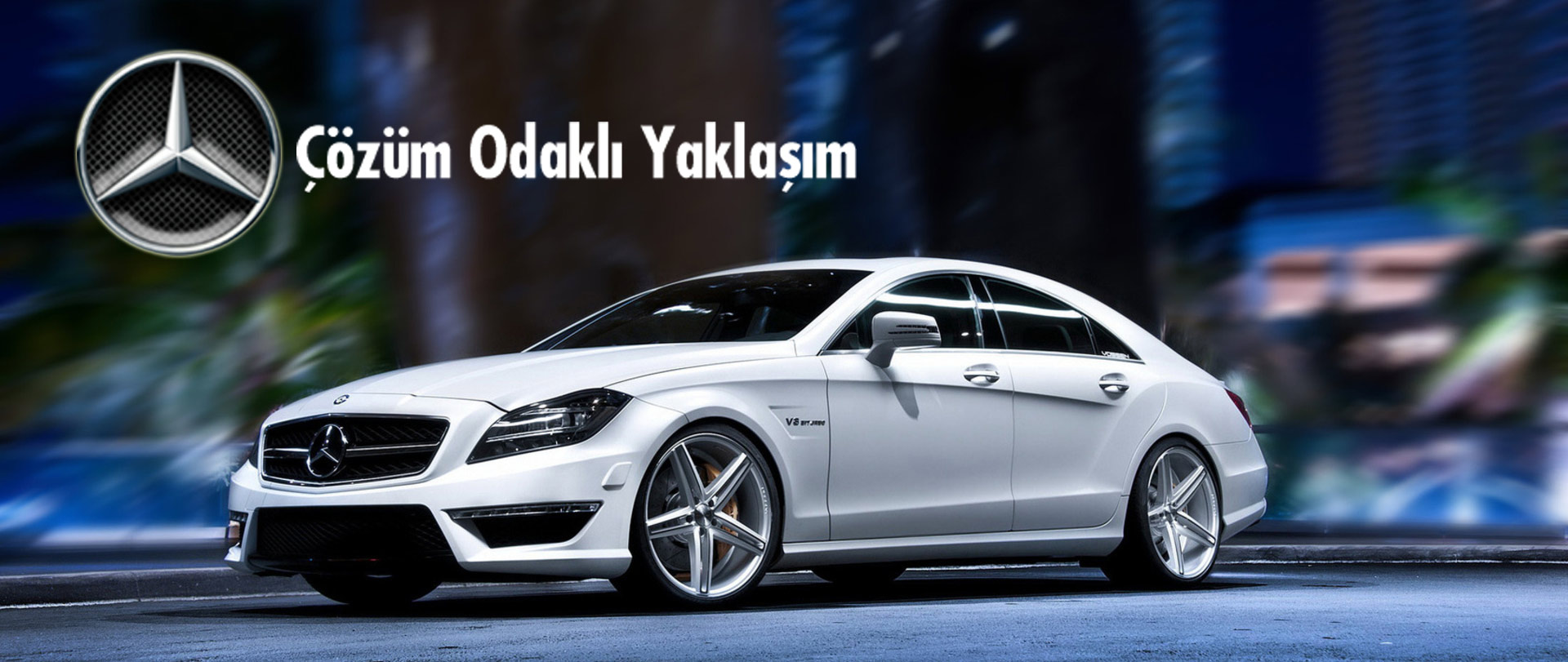 adana mercedes servisi